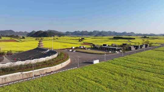 航拍油菜花海罗田云南春天蓝天白云风景景区