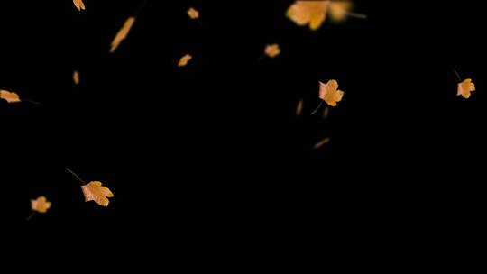 花叶飘落透明背景9视频素材模板下载