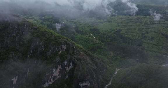 山，偏远，农村，森林树木