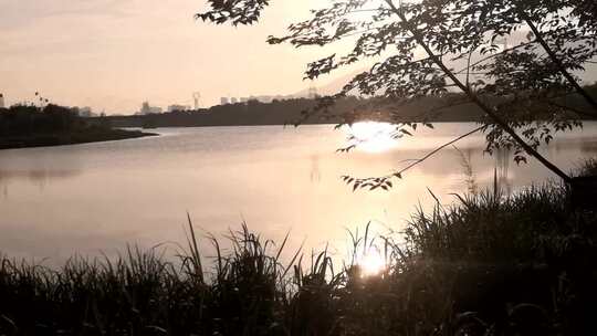 优美宁静的江景  平湖水波纹