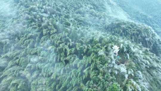 蔡伦竹海旅游风景区