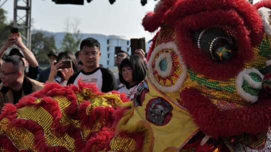 新年活动舞狮表演庆祝新年