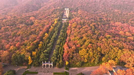 南京钟山风景区中山陵秋景