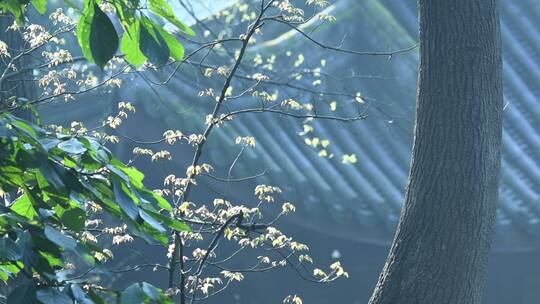 杭州飞来峰永福寺禅院风景