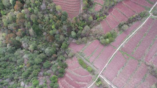 中国西部山地四川大凉山村庄春天景航拍延时