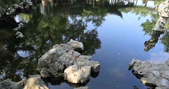 阳光绿植太湖石园林庭院水景沉浸式氛围