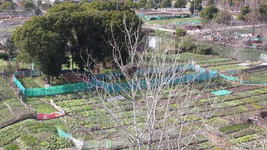 昆山花桥镇航拍素材