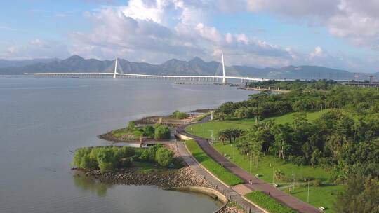 深圳湾公园航拍海岸栈道海洋生态