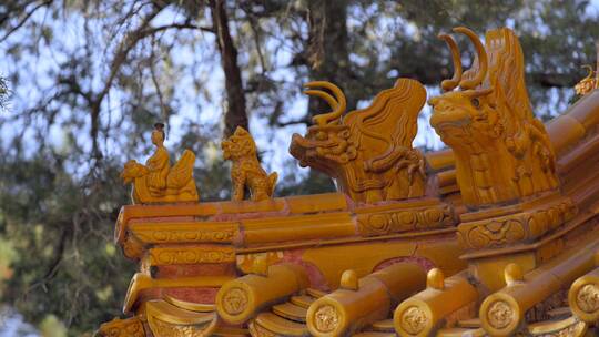 【空镜】4K北京景山公园-传统琉璃瓦脊兽
