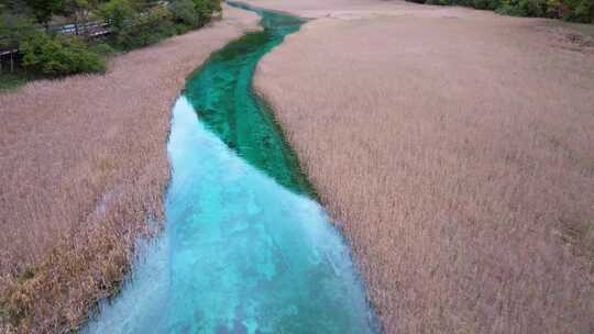 唯美航拍川西九寨沟芦苇海河流湿地湖水彩林