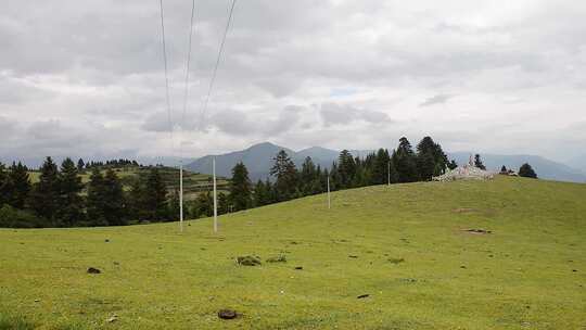 草原山顶森林风景