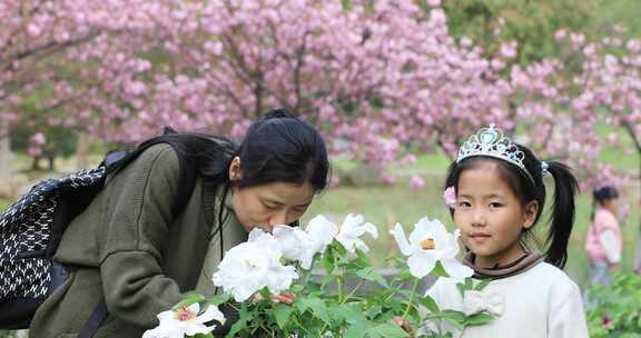 春天母女在公园牡丹园赏花闻花踏春