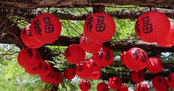 悬挂的福字红灯笼