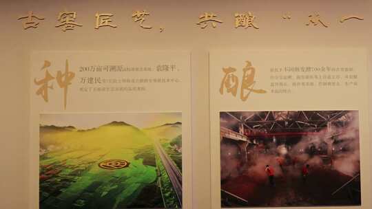 四川省宜宾市五粮液酒文化博览馆视频素材模板下载