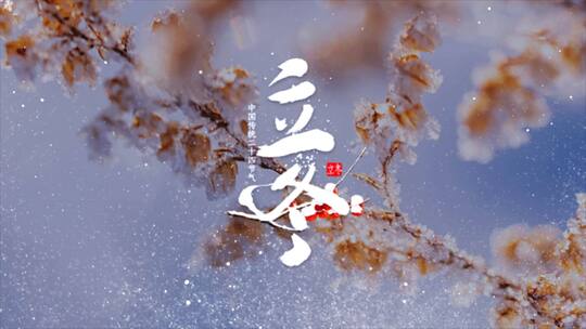 雪花飘散二十四节气立冬片头ae视频ae模板