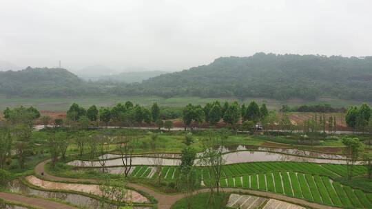 山区河边生态绿化景观