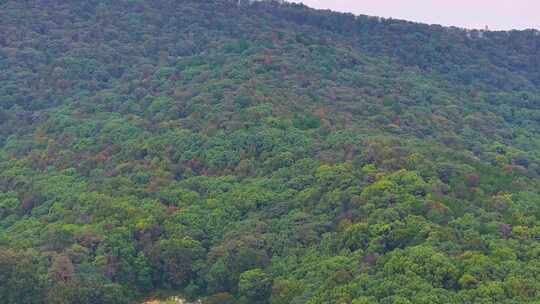 湖南长沙岳麓山风景名胜区航拍岳麓区城市风视频素材模板下载