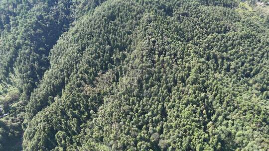 航拍山川丘陵大山山脉森林植物