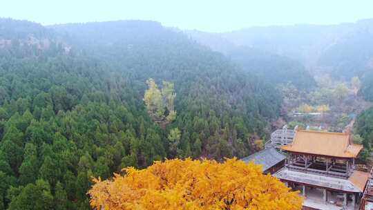 山东济南淌豆寺秋天航拍寺庙