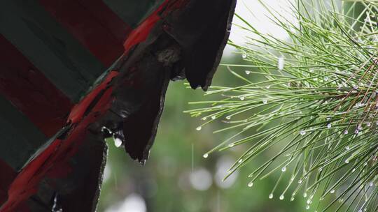 古建筑屋檐雨滴视频素材模板下载