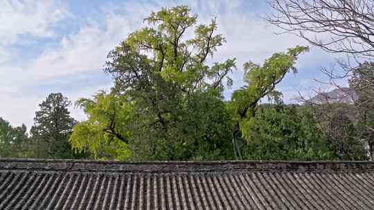 航拍郑州嵩山大法王寺