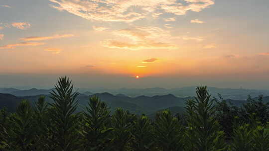 夕阳下山顶植物剪影的延时摄影