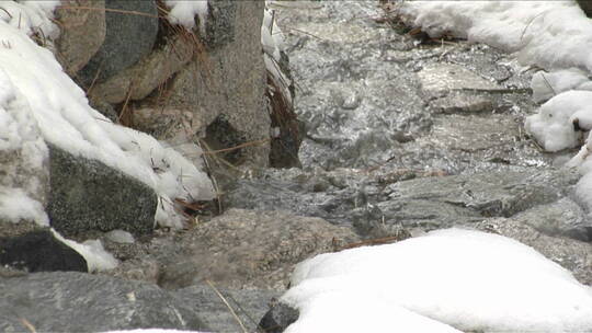 山涧的水流过白雪覆盖的岩石