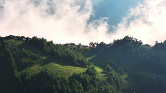 航拍高山森林云海云雾