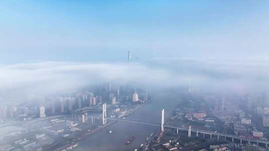 上海平流 南浦大桥 陆家嘴 城市平流