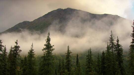 迷雾森林与山脉景观