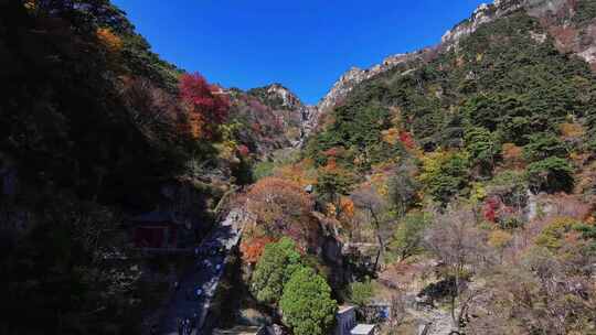 泰山对松山的秋色