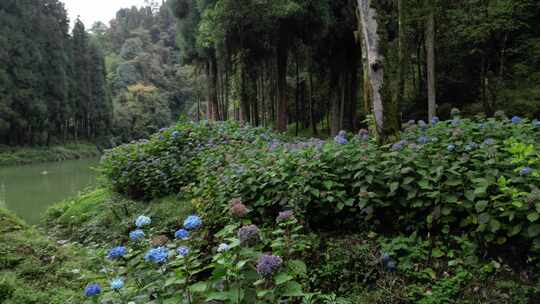 龙苍沟国家森林公园