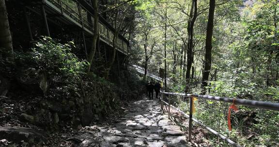 森林里的滑道 余姚丹山赤水