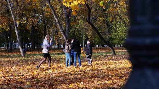 秋天公园银杏树 拍照打卡的人们视频素材模板下载