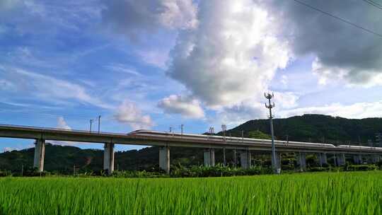 田野上高架桥高铁驶过风景