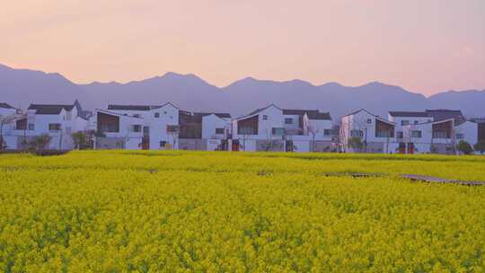 杭州富阳东梓关村春天风景