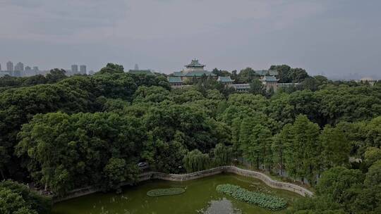 毕业季武汉大学航拍俯瞰校园4