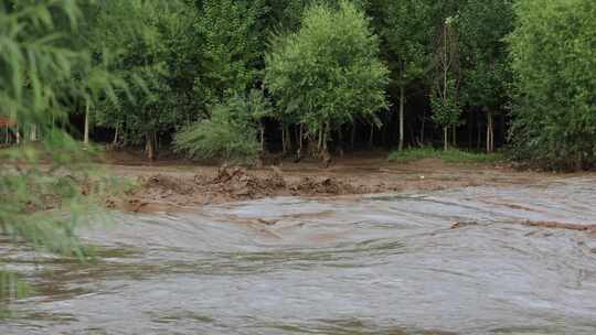 实拍暴雨后洪水 山洪  泥石流