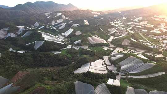 江西赣州赣南寻乌县脐橙种植基地航拍