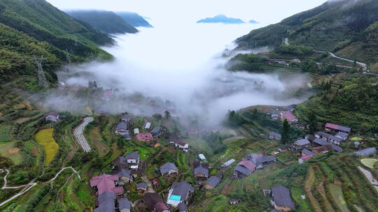 丽水云和山村云海风光 合集