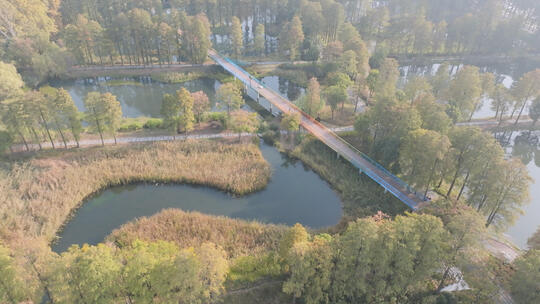 航拍武汉华侨城生态湿地公园自然风光