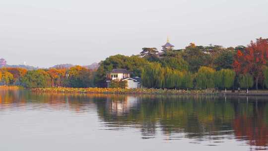 杭州西湖孤山公园秋天风景