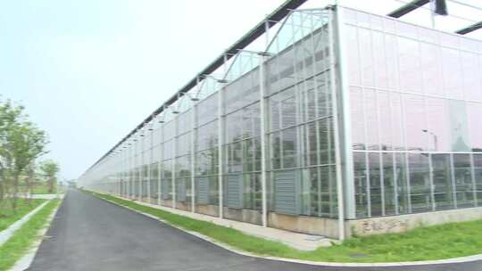 现代农业园 现代农业大棚