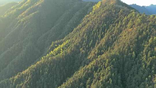 秋天午后航拍安徽省黄山市璜尖岭风景