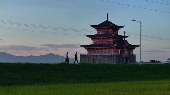 中国广东省佛山市三水区白坭聚贤楼稻田