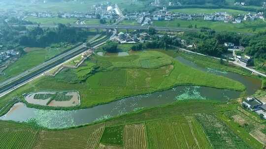 农业公园  农业园区 广袤肥沃土地 优质大米