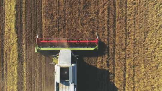 现代联合收割机在田间收割小麦的航拍