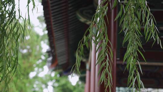 古建筑屋檐雨滴