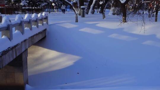 冬天公园老树小河雪景