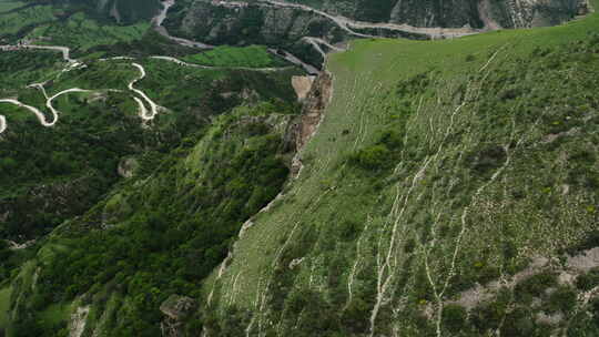 广阔的峡谷景观展示了分层的岩石地层和一棵